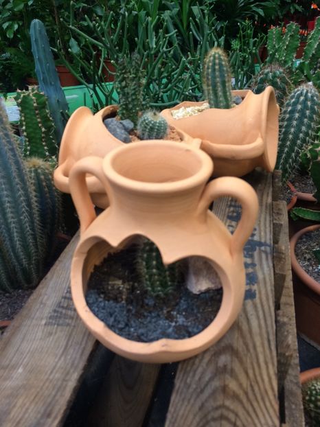 28.01.2018 - Expozitie de flori