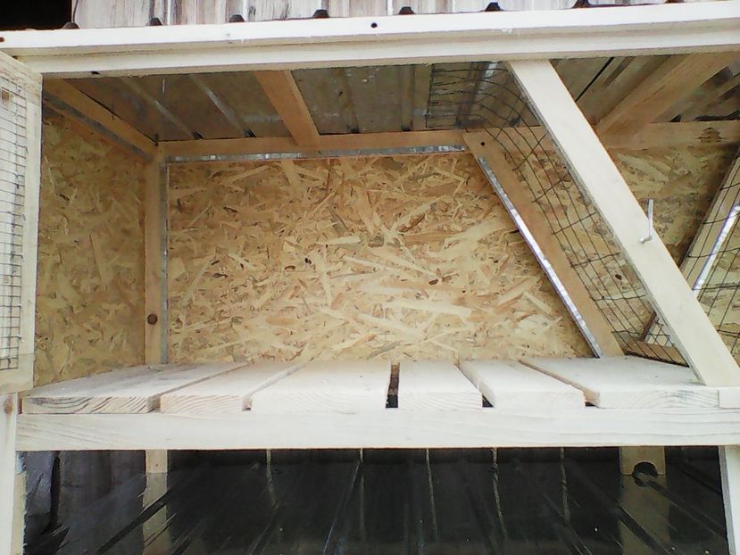 TOATE COLTURILE IZOLATE CU TABLA - CUSTI PENTRU IEPURI DE VANZARE