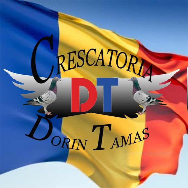 Crescatoria Fam. Tamas D+D+D - Contact