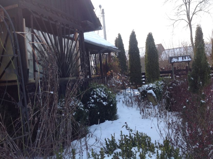  - Iarna la Mosie ian 2018