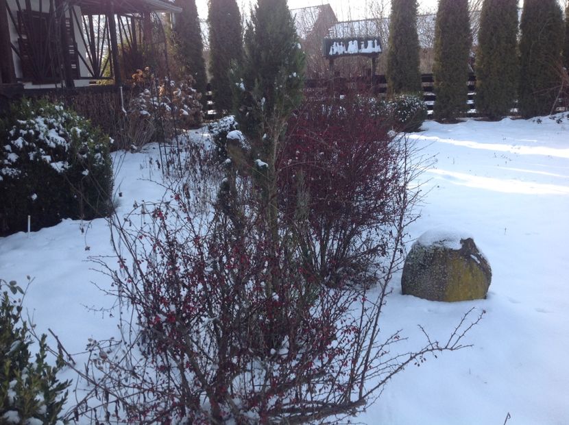  - Iarna la Mosie ian 2018