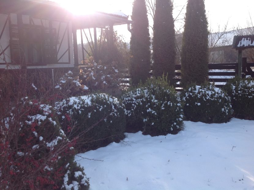  - Iarna la Mosie ian 2018