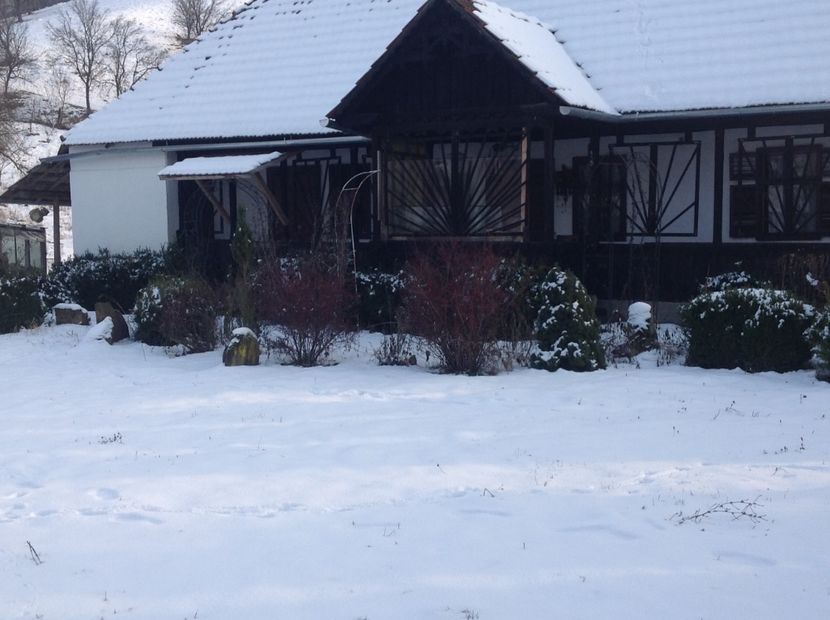  - Iarna la Mosie ian 2018