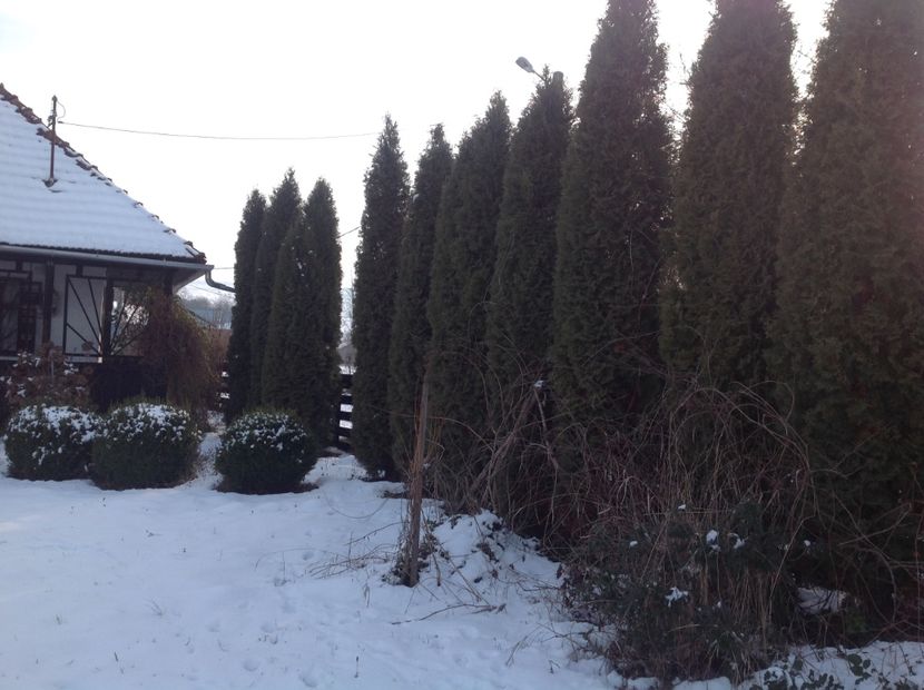  - Iarna la Mosie ian 2018