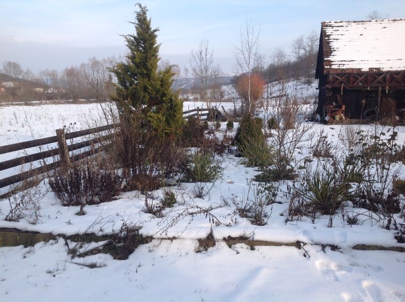  - Iarna la Mosie ian 2018