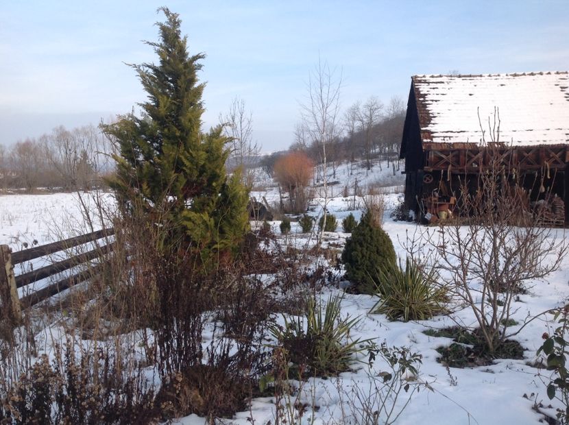  - Iarna la Mosie ian 2018