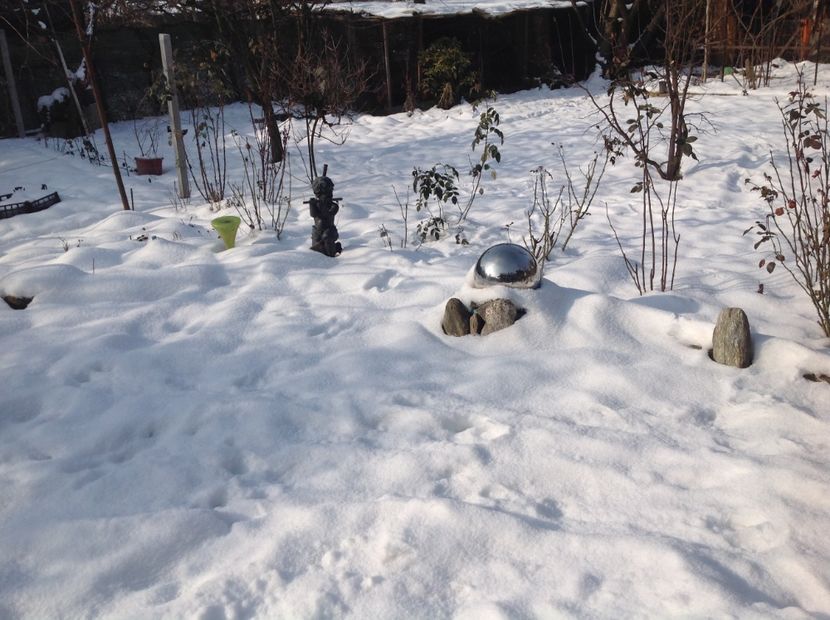  - Gradina iarna 2017