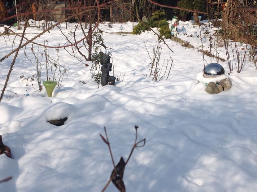  - Gradina iarna 2017