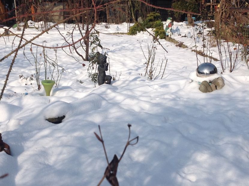  - Gradina iarna 2017