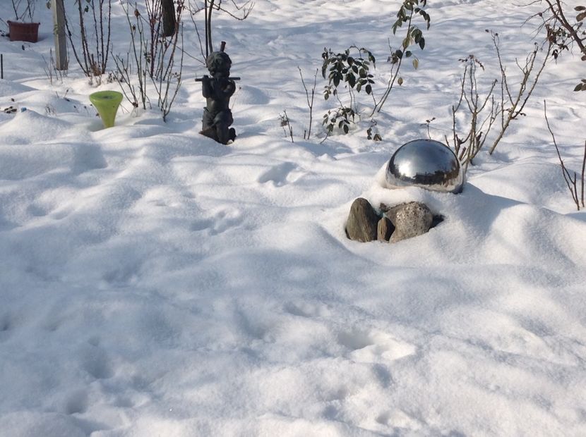  - Gradina iarna 2017