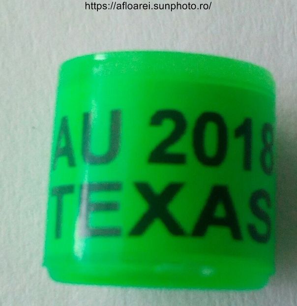 au 2018 texas - AMERICA