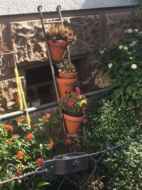 28.08.2017 - Modele de Raft