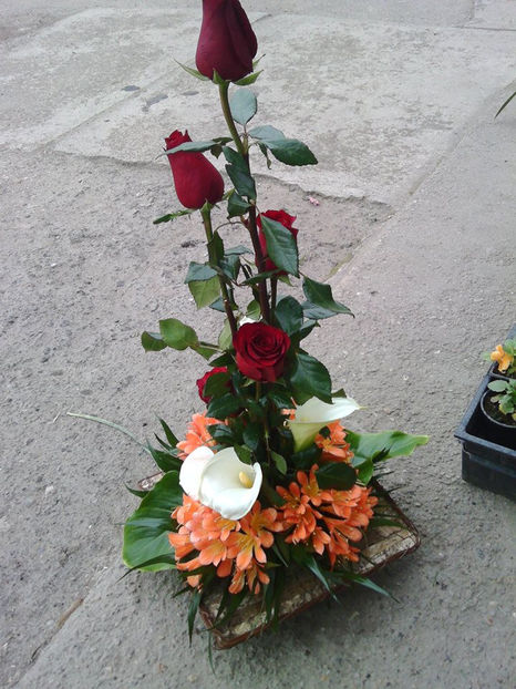  - BUCHETE DE MIREASA Turda