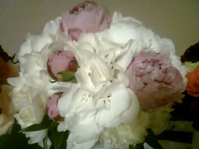  - Flori pentru evenimente in Turda