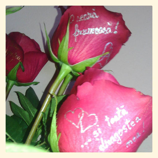  - Flori pentru evenimente in Turda