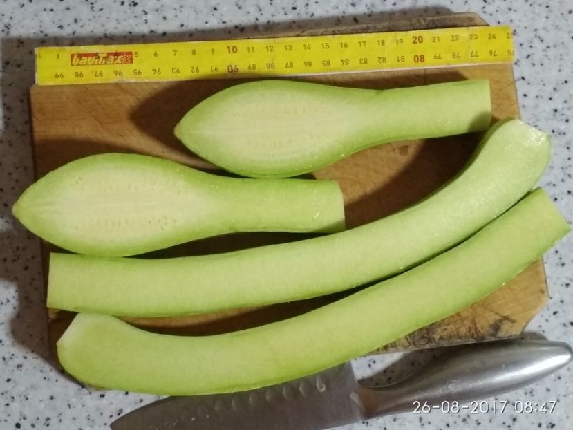 DOVLECEL TROMBETTA (5) - DOVLECEI CĂȚĂRĂTORI TROMBETTA D ALBENGA