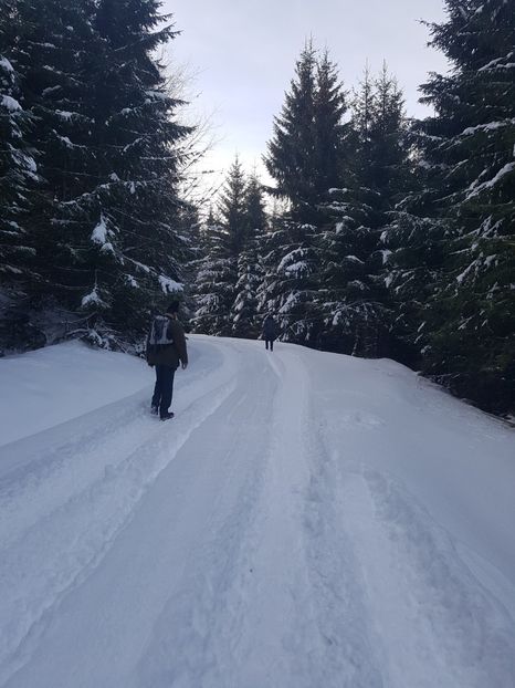 ...pe traseul spre Taul Zanelor - Colibita ianuarie 2018