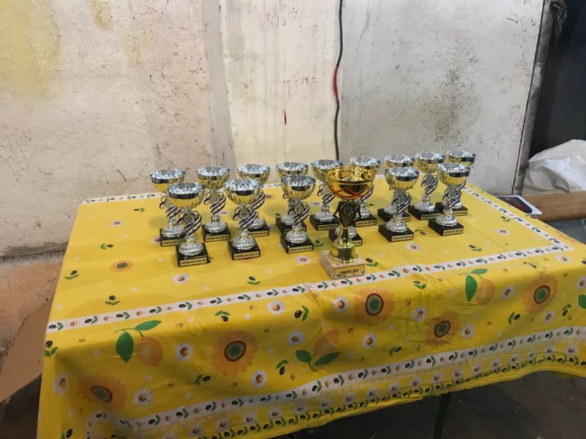 CAE9AE62-A1CE-43D4-999D-08DAE468E9D1 - Expo Aiud 25 Ianuarie 2018