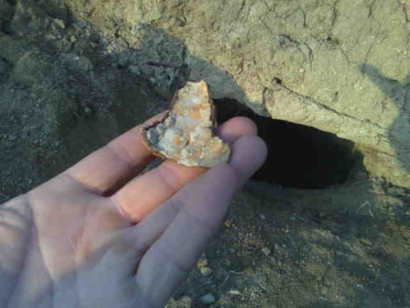  - Direct de la sursa din deal-NATURAL-