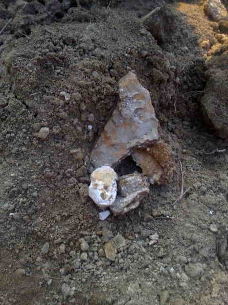  - Direct de la sursa din deal-NATURAL-