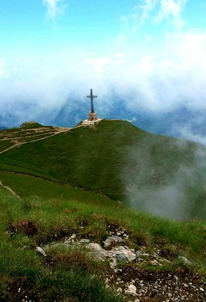 Panait Claudiu - Flori din Bucegi