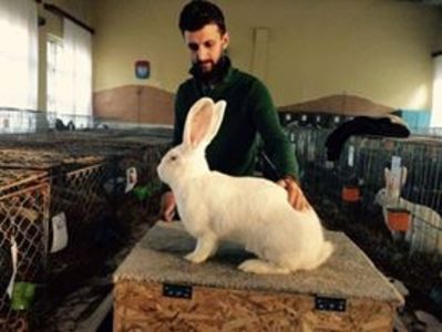  - Campioana Oradea 2017