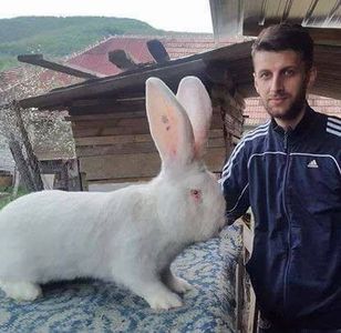  - Campion national 2016