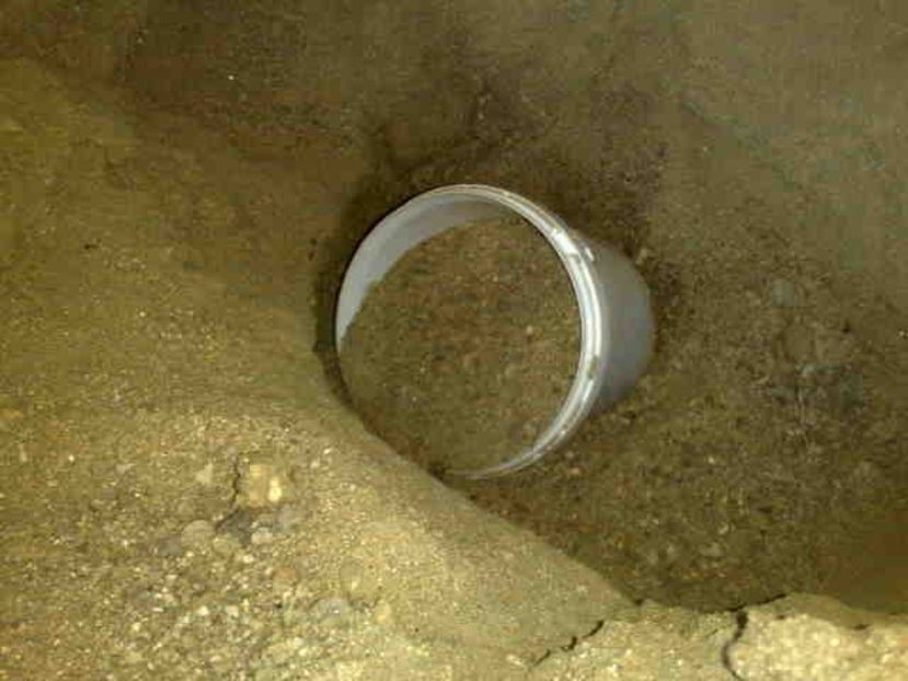  - Direct de la sursa din deal-NATURAL-