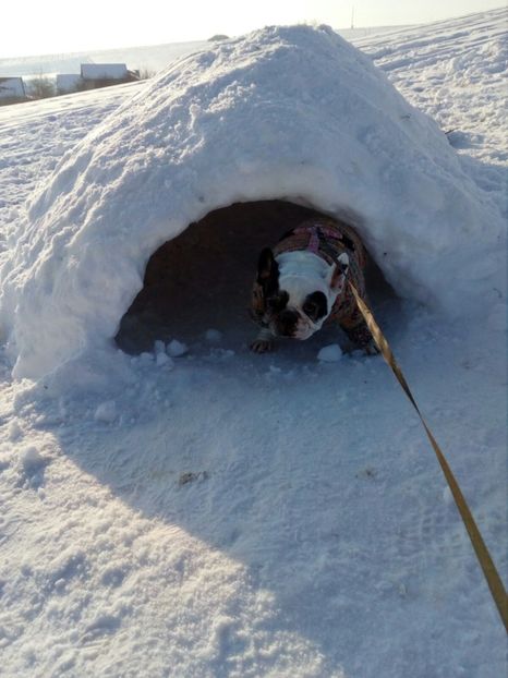 IMG-20180124-WA0009 - Maya si prietenii ei