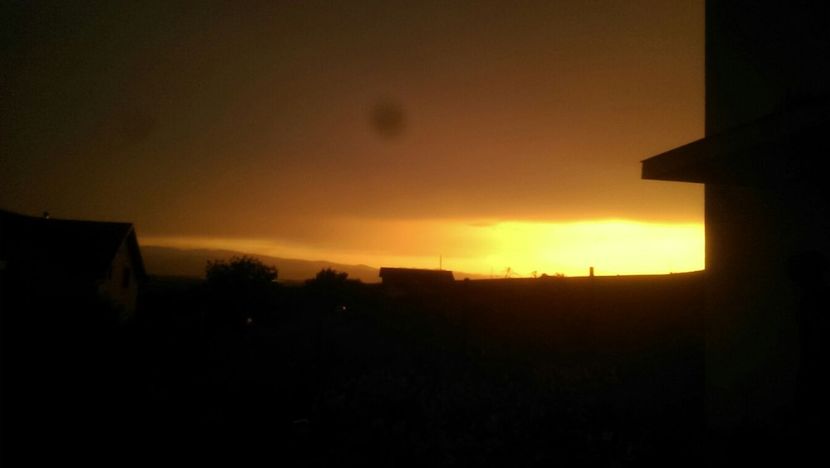 IMG-20170723-WA0005 - Surprinzatoarea natura