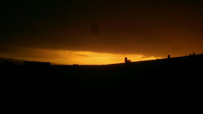 IMG-20170723-WA0007 - Surprinzatoarea natura