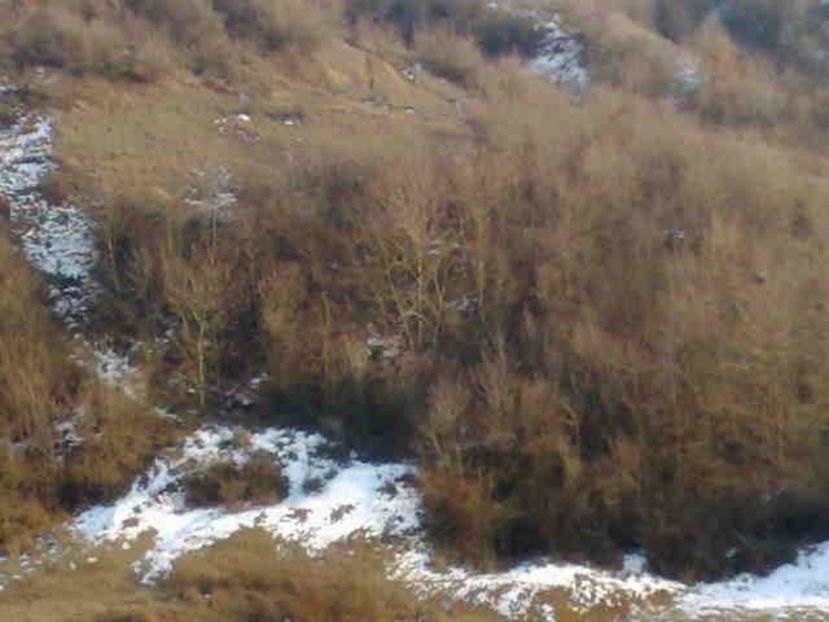  - Direct de la sursa din deal-NATURAL-