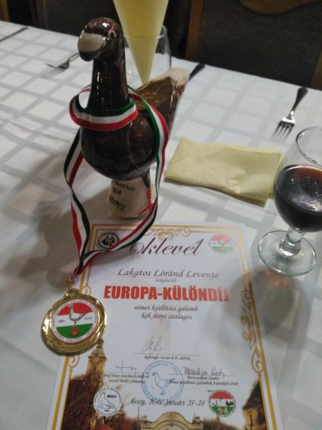  - Expo european Ungaria -Abony 2018