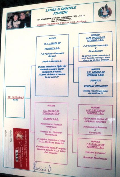 Pedigreu Cuca - Cuca Italia