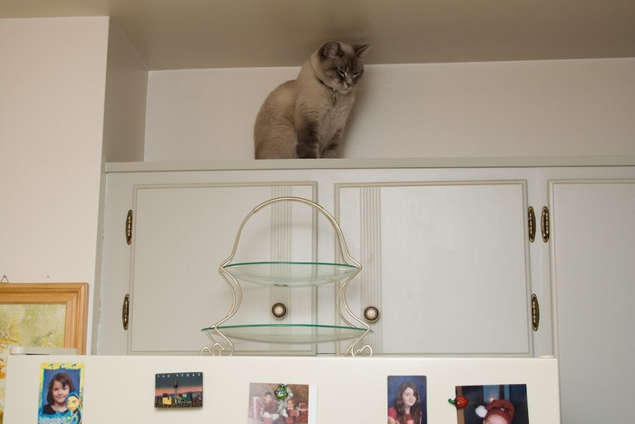 bsp_080419_200612_4911_v01