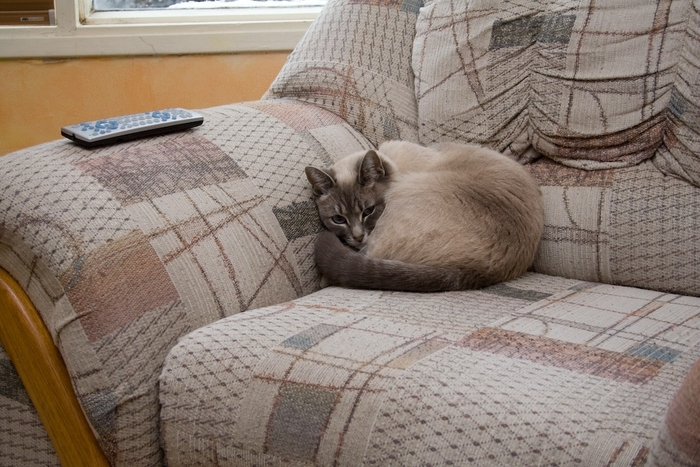 bsp_080419_174352_4896_v01