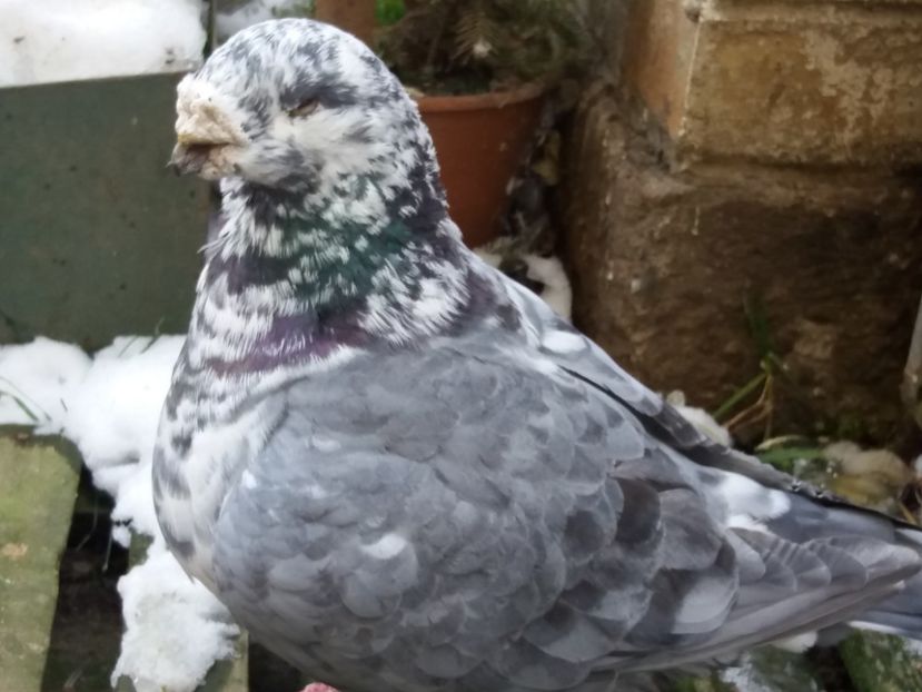 M-2012 - ARHIVA AGH II