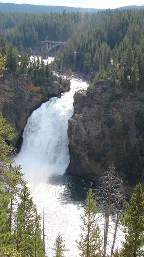 yellowstone__2_023