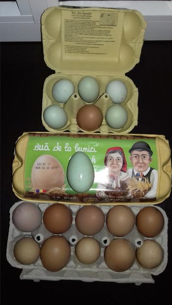  - OUA REPRODUCTIE 20 20