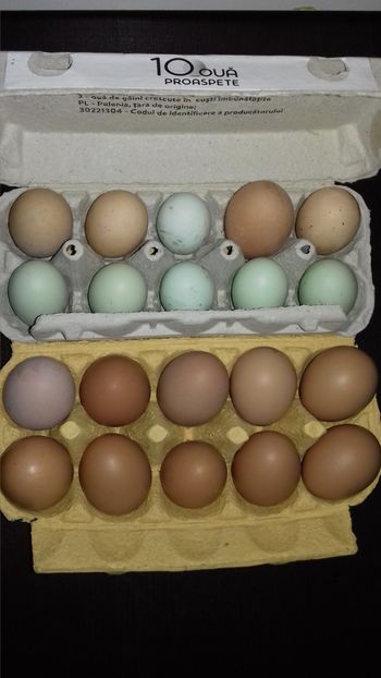  - OUA REPRODUCTIE 20 20