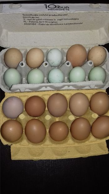  - OUA REPRODUCTIE 20 20