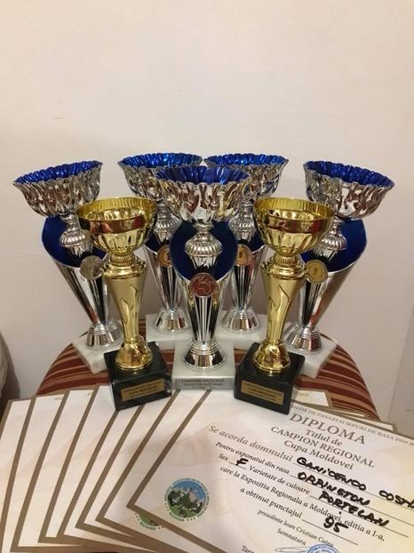  - ADUC LA COMANDA      Contact