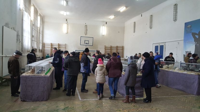  - Expo locala sebes 2018