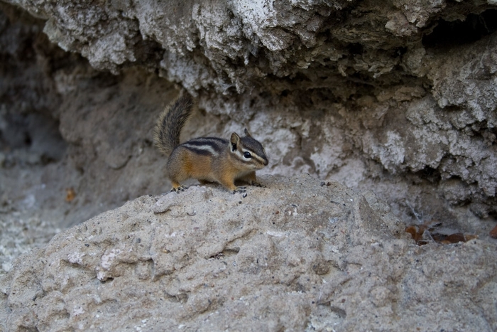 bsp_080518_151849_6086_v01