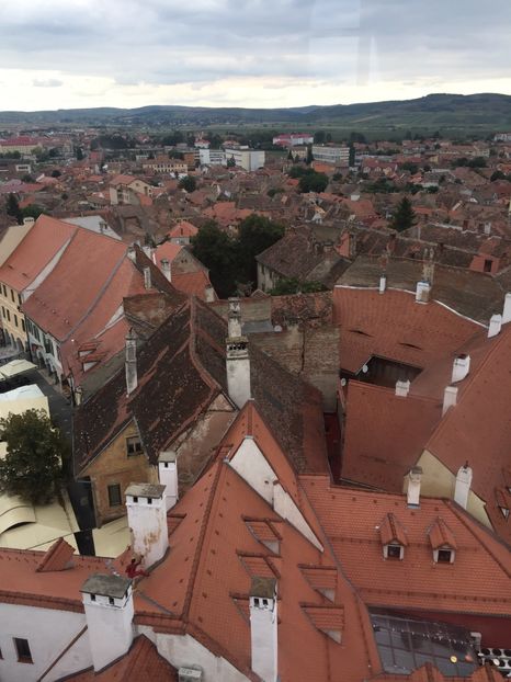 85040B2B-3F26-42B8-9702-0F9FC5697B2B - Eu si familia mea