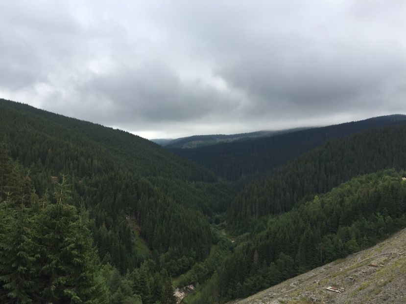 DA641CD4-4DD2-48A9-88D7-9E5EFDEB109A - Eu si familia mea