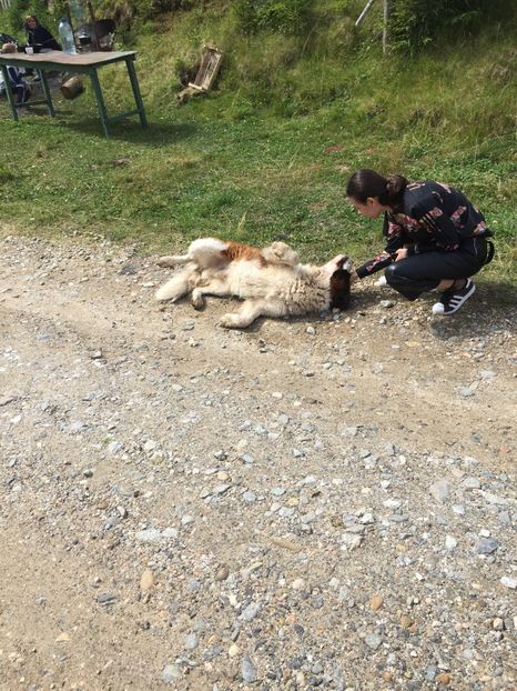 0CE093E8-2D96-415E-9322-F503311B7473 - Eu si familia mea