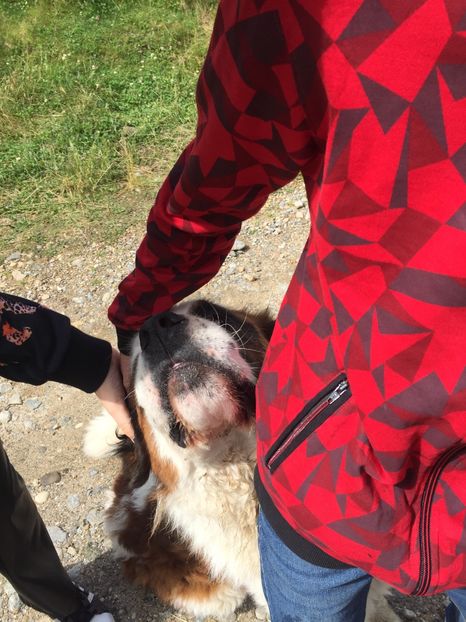 D31A6583-0B46-4E13-8437-FD667599A2CE - Eu si familia mea