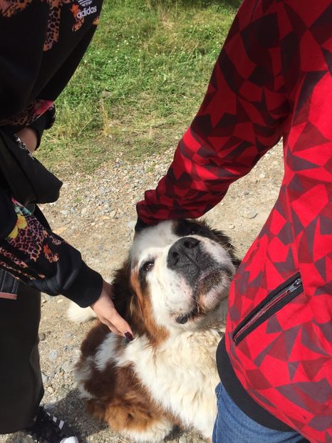 F95EEC8F-226F-4A8C-8F31-6D23915A1D5C - Eu si familia mea