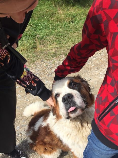 97962D55-BAE9-49EE-92D7-1C9E8C215B2F - Eu si familia mea